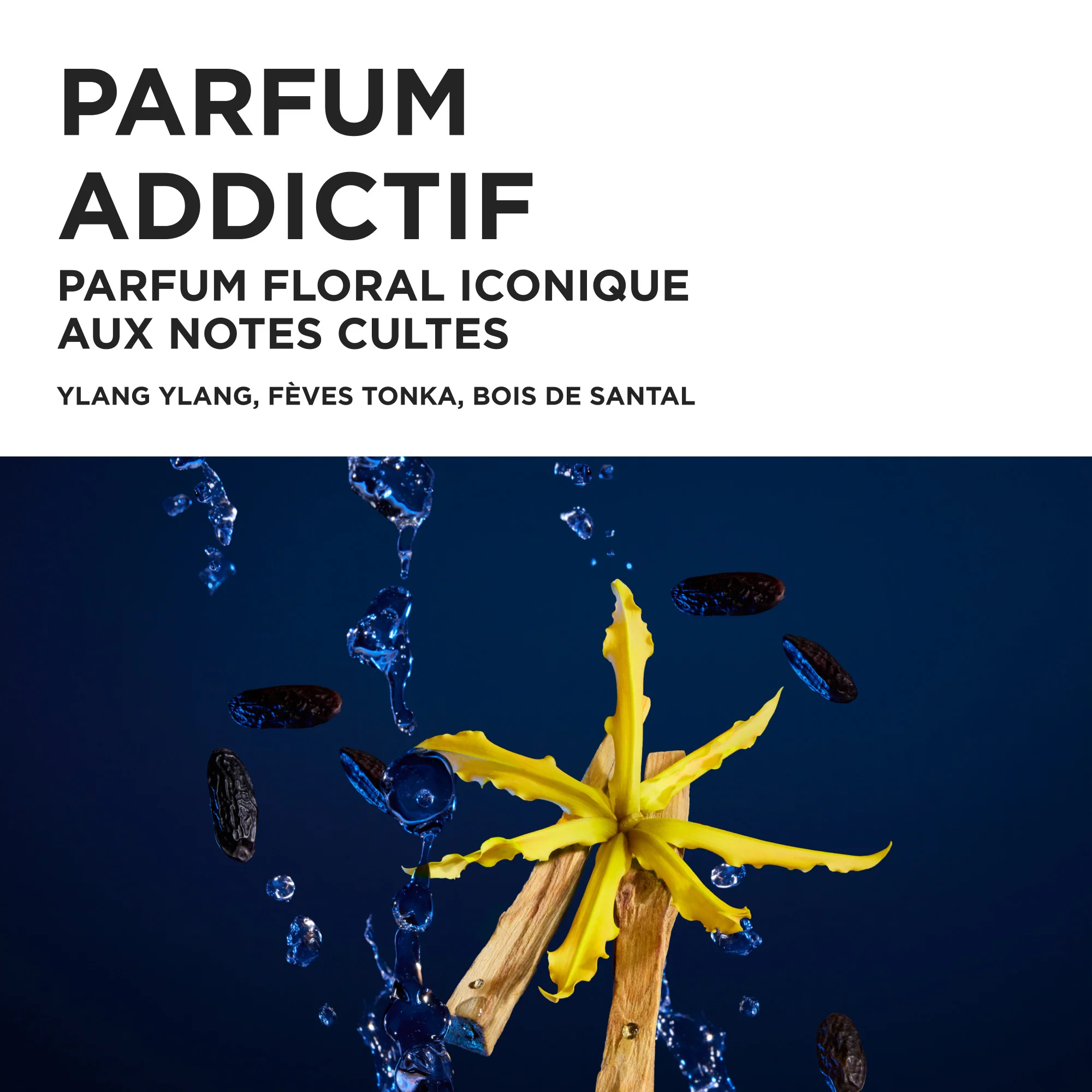 Kérastase Coffret de printemps | Nutritive - Image 4