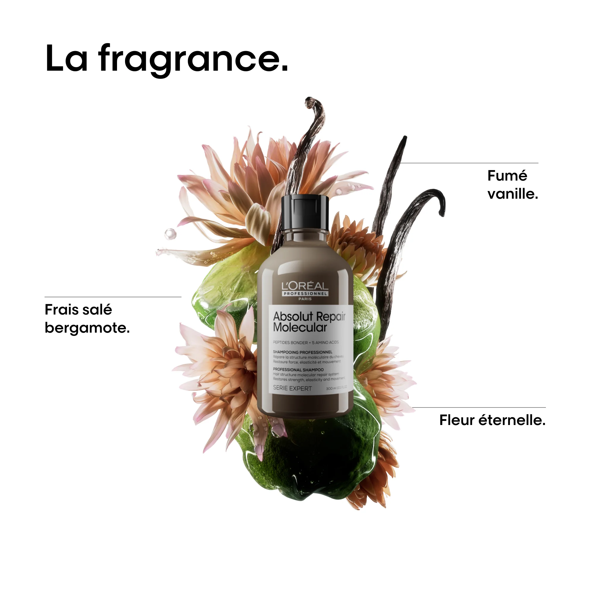 L'Oréal Professionnel Coffret de printemps | Absolut Repair Molecular - Image 7