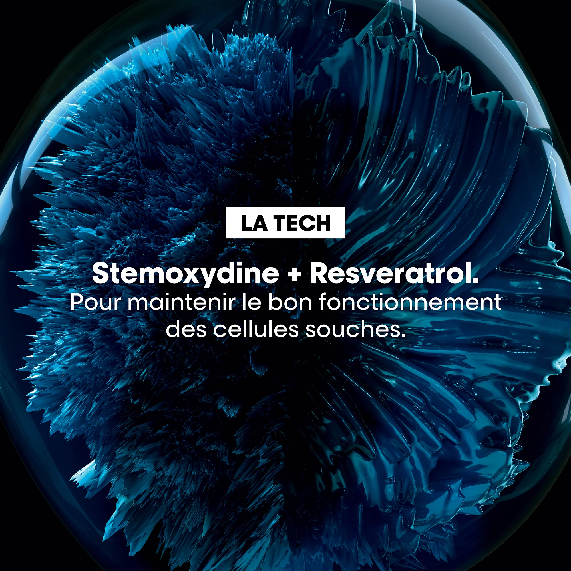 L'Oréal Professionnel Coffret de printemps | Serioxyl Advanced - Image 3