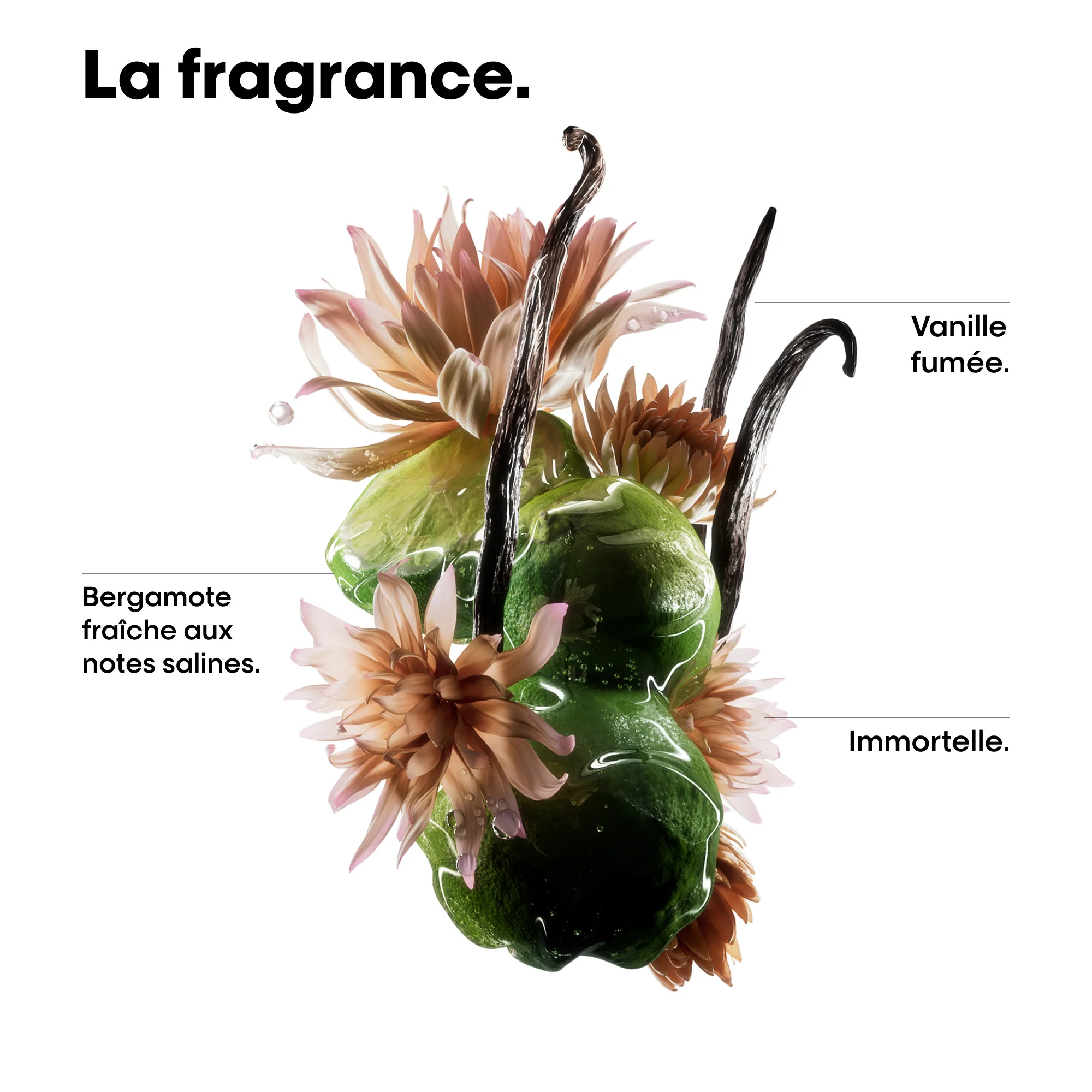 L'Oréal Professionnel Absolut Repair Molecular Huile Bi-Phase - 90ml - Image 6